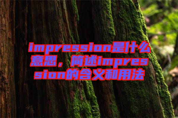 impression是什么意思，簡(jiǎn)述impression的含義和用法