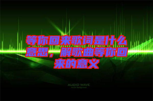 等你回來歌詞是什么意思，解歌曲等你回來的意義