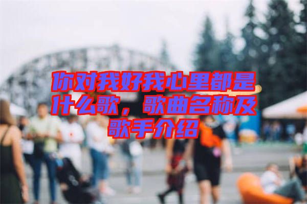 你對我好我心里都是什么歌，歌曲名稱及歌手介紹
