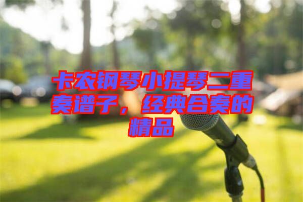 卡農(nóng)鋼琴小提琴二重奏譜子，經(jīng)典合奏的精品