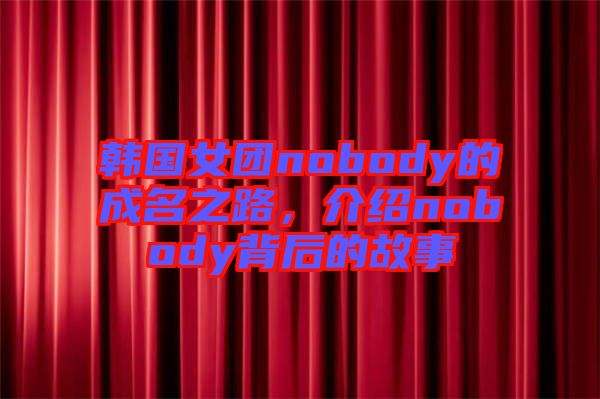 韓國女團(tuán)nobody的成名之路，介紹nobody背后的故事