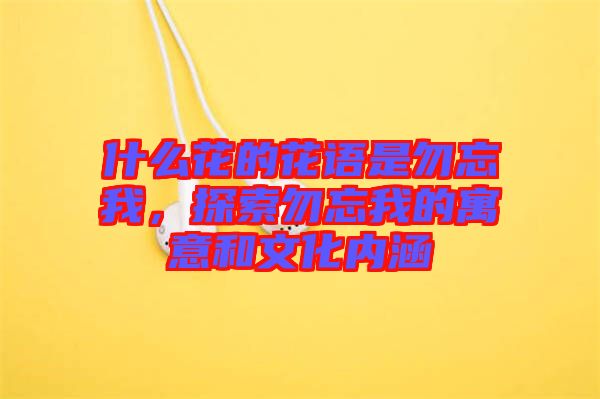 什么花的花語是勿忘我，探索勿忘我的寓意和文化內涵