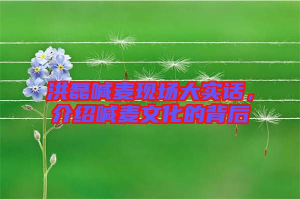 洪磊喊麥現(xiàn)場(chǎng)大實(shí)話，介紹喊麥文化的背后