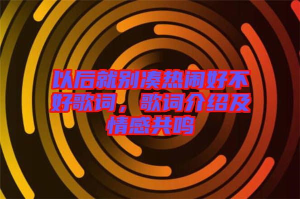以后就別湊熱鬧好不好歌詞，歌詞介紹及情感共鳴