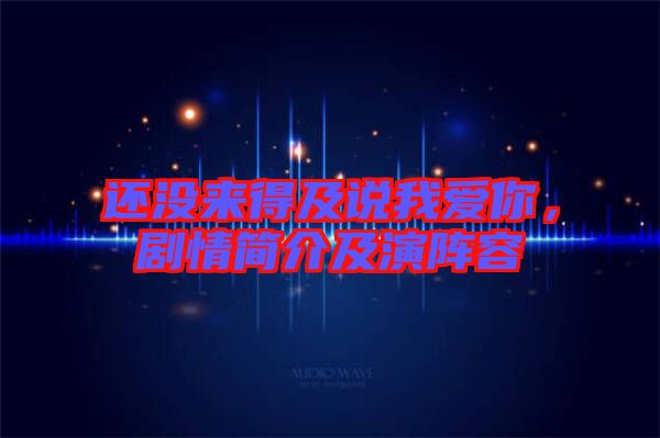 還沒來(lái)得及說我愛你，劇情簡(jiǎn)介及演陣容