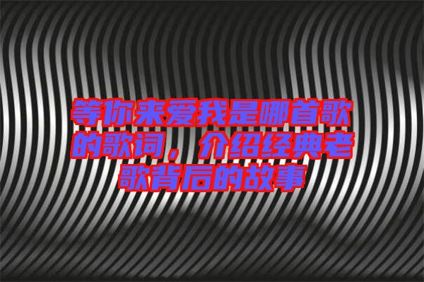 等你來(lái)愛(ài)我是哪首歌的歌詞，介紹經(jīng)典老歌背后的故事