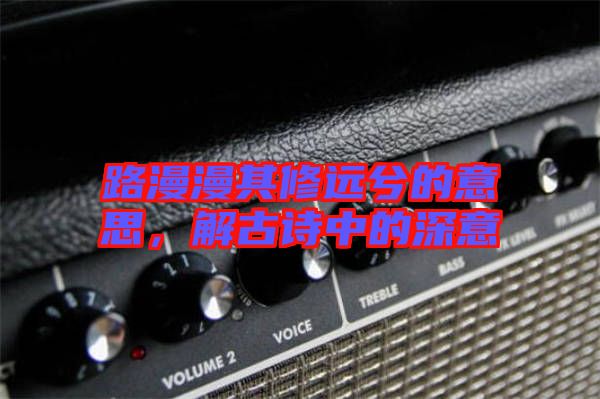 路漫漫其修遠兮的意思，解古詩中的深意