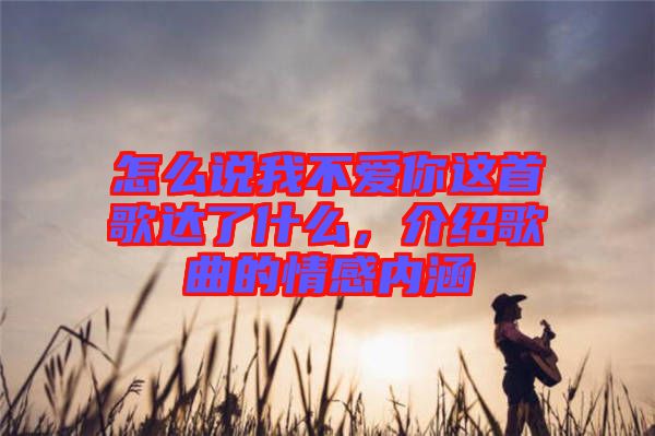 怎么說(shuō)我不愛(ài)你這首歌達(dá)了什么，介紹歌曲的情感內(nèi)涵