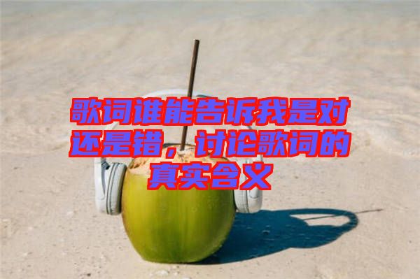 歌詞誰能告訴我是對還是錯，討論歌詞的真實含義