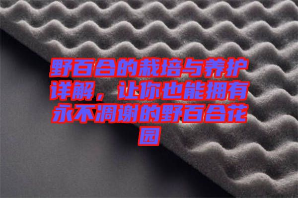 野百合的栽培與養(yǎng)護(hù)詳解，讓你也能擁有永不凋謝的野百合花園