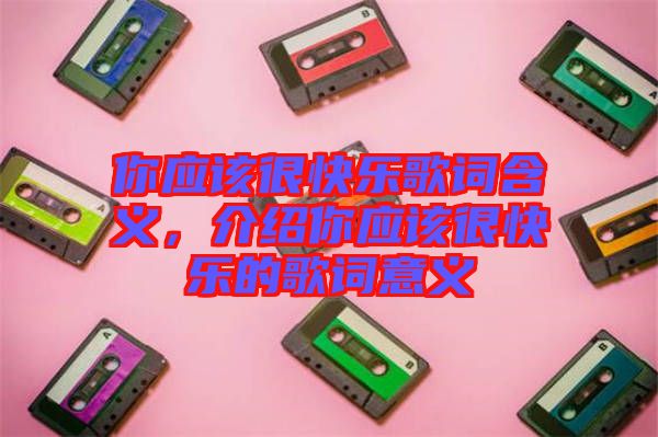 你應該很快樂歌詞含義，介紹你應該很快樂的歌詞意義
