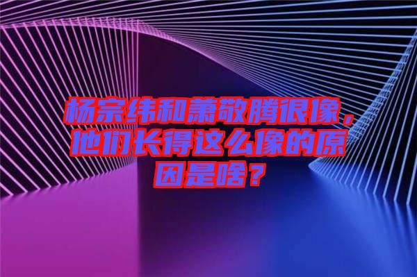 楊宗緯和蕭敬騰很像，他們長得這么像的原因是啥？