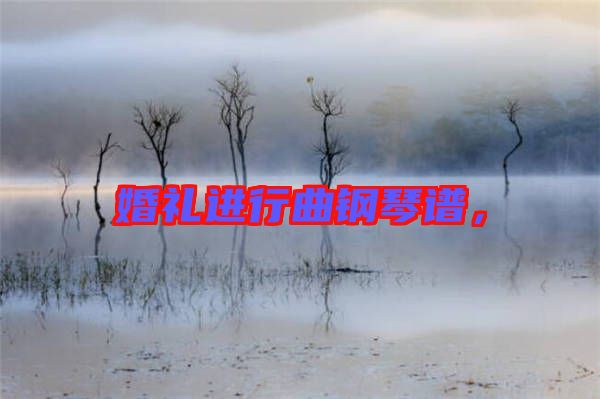 婚禮進(jìn)行曲鋼琴譜，
