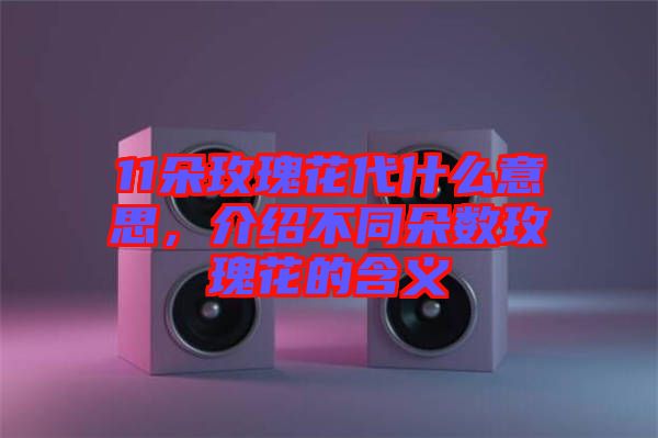 11朵玫瑰花代什么意思，介紹不同朵數(shù)玫瑰花的含義