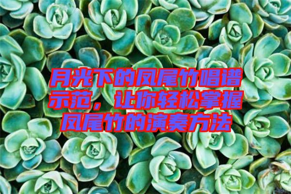 月光下的鳳尾竹唱譜示范，讓你輕松掌握鳳尾竹的演奏方法