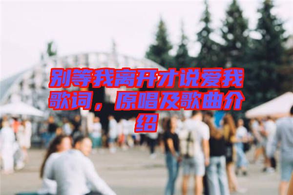 別等我離開(kāi)才說(shuō)愛(ài)我歌詞，原唱及歌曲介紹