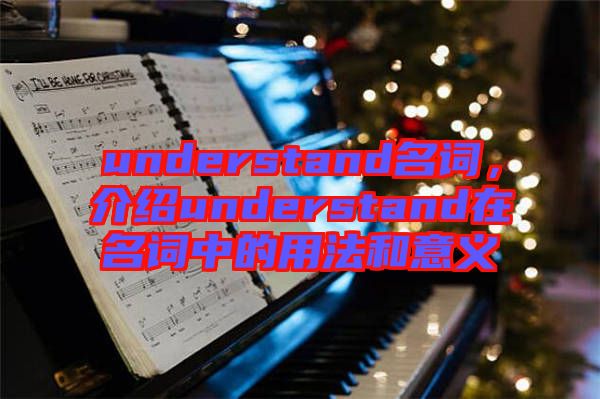 understand名詞，介紹understand在名詞中的用法和意義