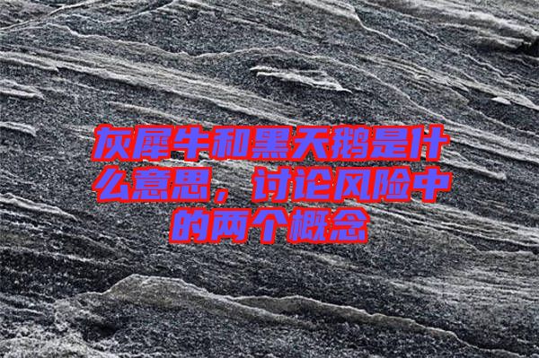 灰犀牛和黑天鵝是什么意思，討論風險中的兩個概念