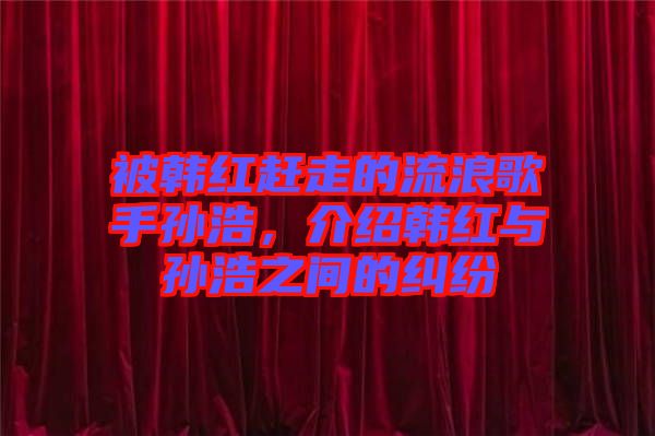 被韓紅趕走的流浪歌手孫浩，介紹韓紅與孫浩之間的糾紛