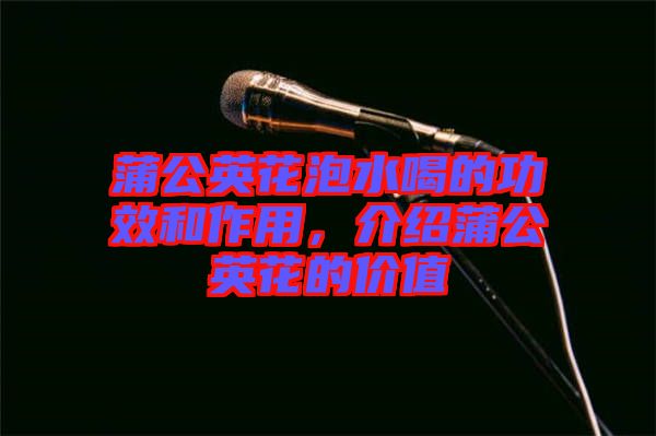 蒲公英花泡水喝的功效和作用，介紹蒲公英花的價值