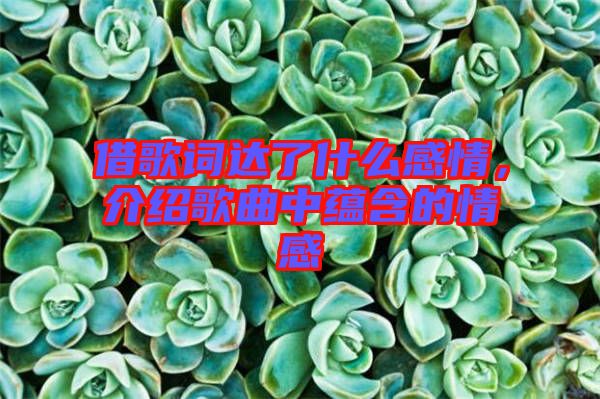 借歌詞達(dá)了什么感情，介紹歌曲中蘊(yùn)含的情感