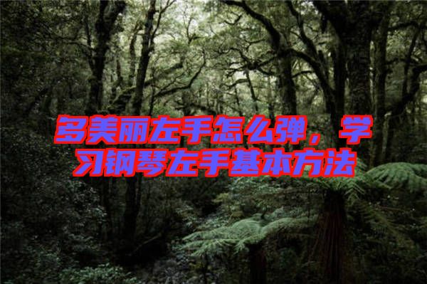 多美麗左手怎么彈，學(xué)習(xí)鋼琴左手基本方法