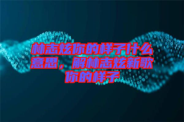 林志炫你的樣子什么意思，解林志炫新歌你的樣子