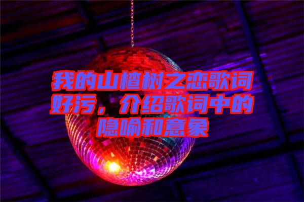 我的山楂樹之戀歌詞好污，介紹歌詞中的隱喻和意象