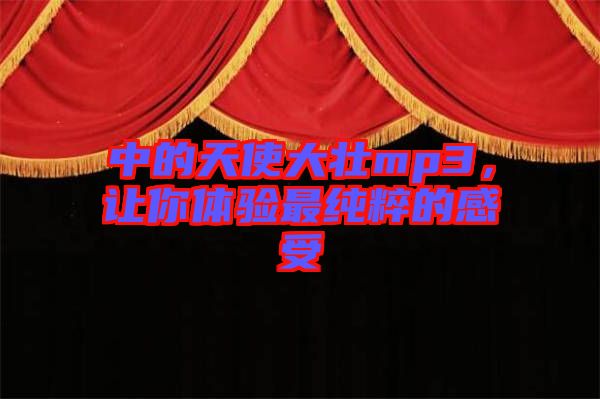 中的天使大壯mp3，讓你體驗(yàn)最純粹的感受