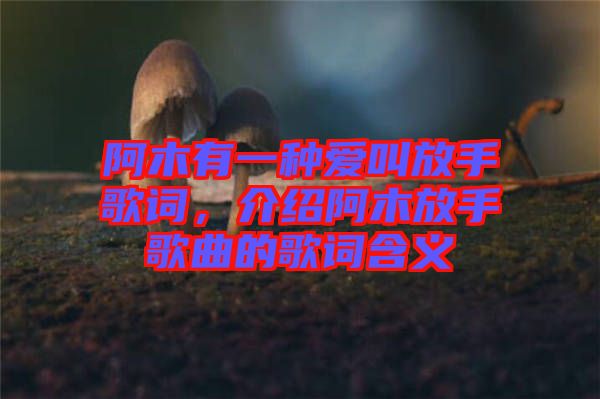 阿木有一種愛叫放手歌詞，介紹阿木放手歌曲的歌詞含義