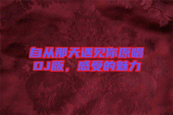 自從那天遇見(jiàn)你原唱DJ版，感受的魅力