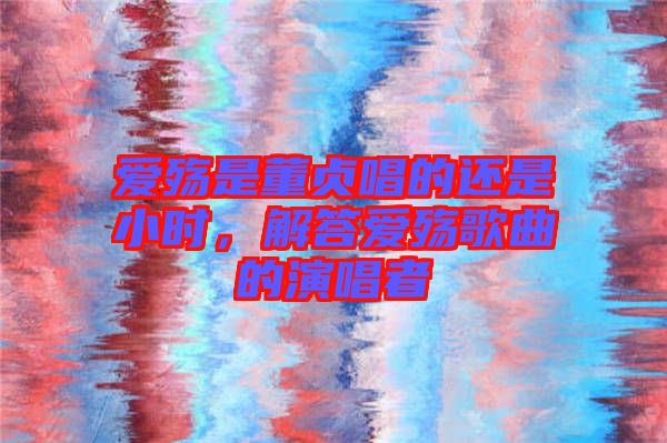 愛殤是董貞唱的還是小時，解答愛殤歌曲的演唱者