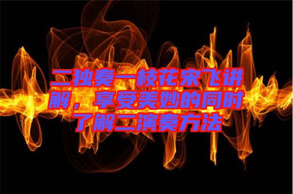 二獨(dú)奏一枝花宋飛講解，享受美妙的同時(shí)了解二演奏方法