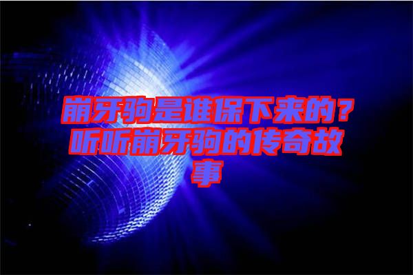 崩牙駒是誰保下來的？聽聽崩牙駒的傳奇故事