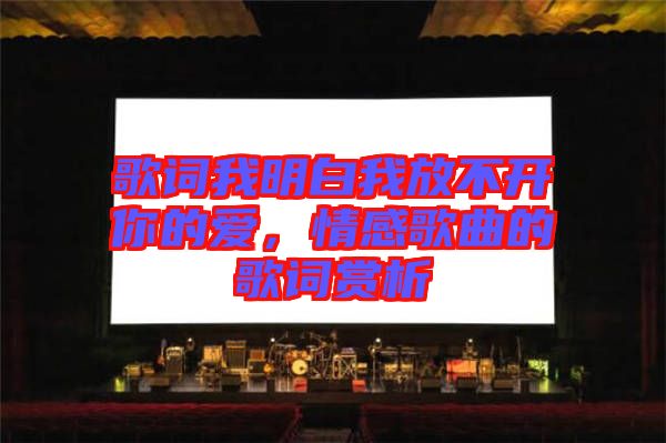 歌詞我明白我放不開你的愛，情感歌曲的歌詞賞析