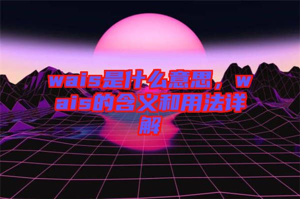 wais是什么意思，wais的含義和用法詳解