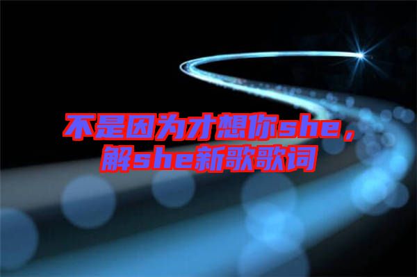 不是因?yàn)椴畔肽鉺he，解she新歌歌詞
