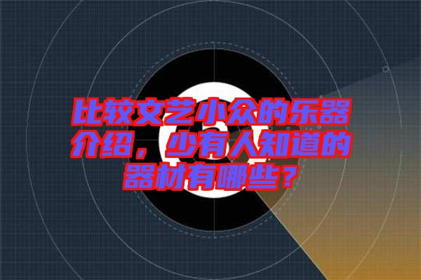 比較文藝小眾的樂器介紹，少有人知道的器材有哪些？