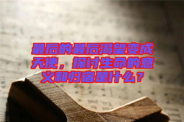 最后的最后渴望變成天使，探討生命的意義和歸宿是什么？