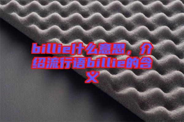 billie什么意思，介紹流行語billie的含義