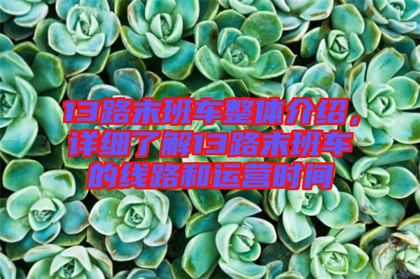 13路末班車整體介紹，詳細了解13路末班車的線路和運營時間