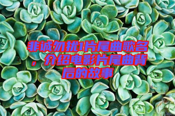 非誠勿擾1片尾曲歌名，介紹電影片尾曲背后的故事