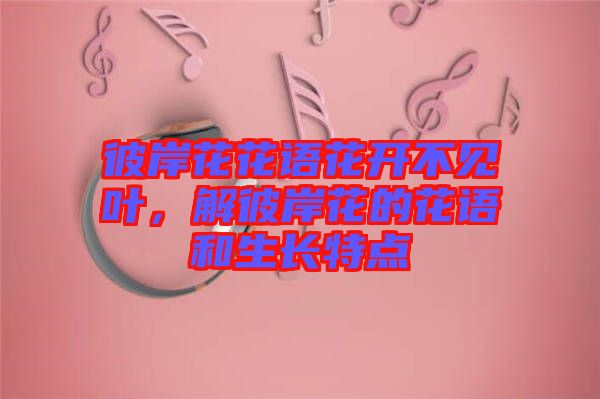 彼岸花花語(yǔ)花開(kāi)不見(jiàn)葉，解彼岸花的花語(yǔ)和生長(zhǎng)特點(diǎn)