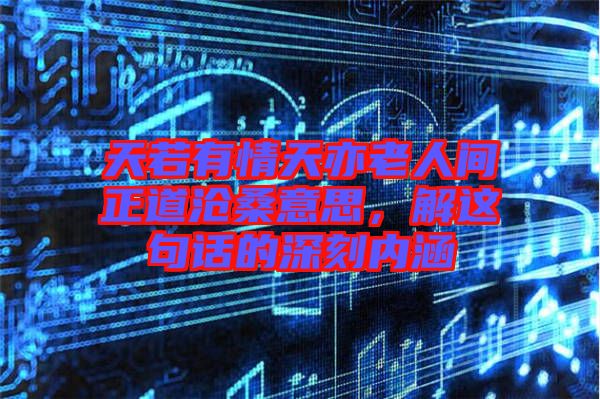 天若有情天亦老人間正道滄桑意思，解這句話的深刻內(nèi)涵
