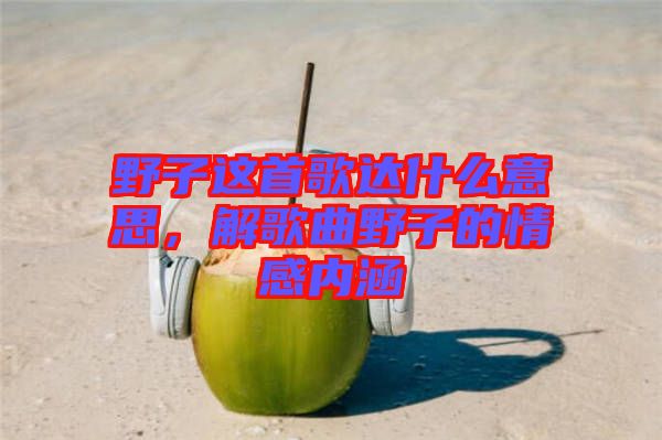 野子這首歌達(dá)什么意思，解歌曲野子的情感內(nèi)涵