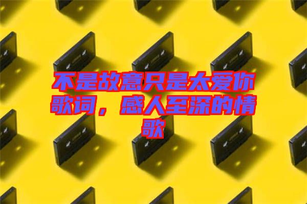 不是故意只是太愛你歌詞，感人至深的情歌