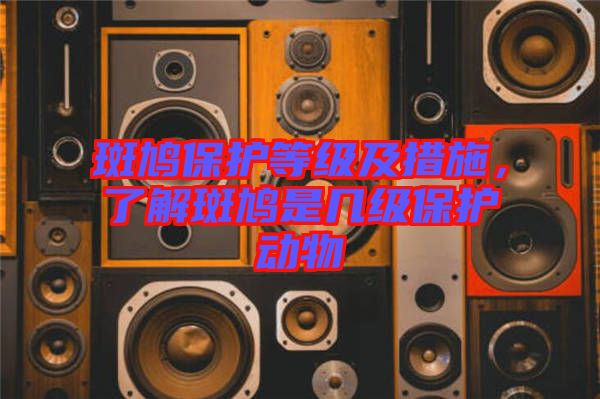 斑鳩保護(hù)等級(jí)及措施，了解斑鳩是幾級(jí)保護(hù)動(dòng)物