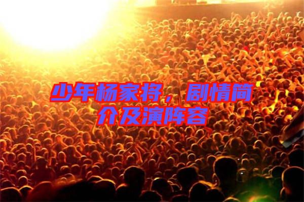 少年楊家將，劇情簡(jiǎn)介及演陣容