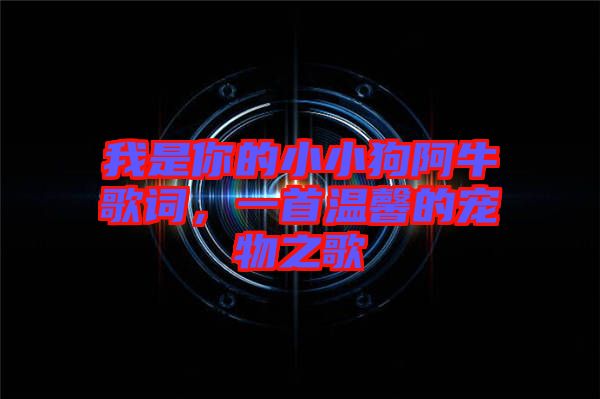 我是你的小小狗阿牛歌詞，一首溫馨的寵物之歌