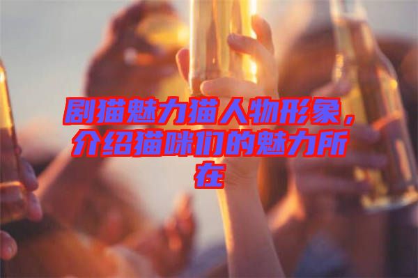 劇貓魅力貓人物形象，介紹貓咪們的魅力所在